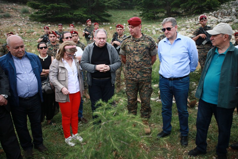 Cedar tree in memory of the Lebanese Commandos Regiment founder